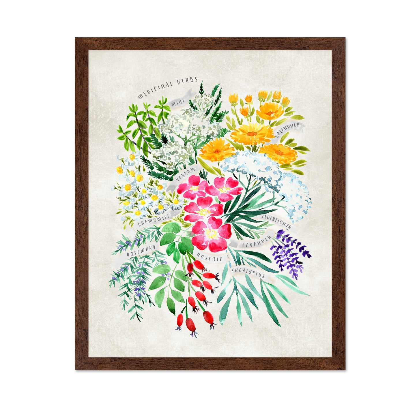 Medicinal Herbs