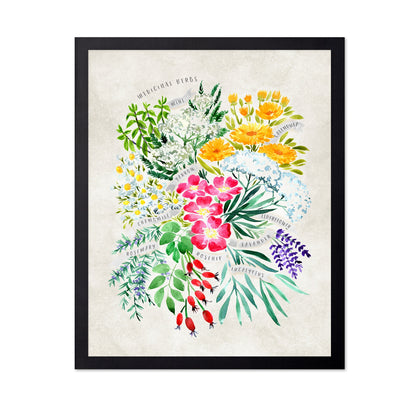 Medicinal Herbs