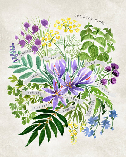 Culinary Herbs