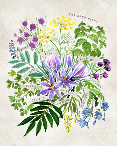 Culinary Herbs