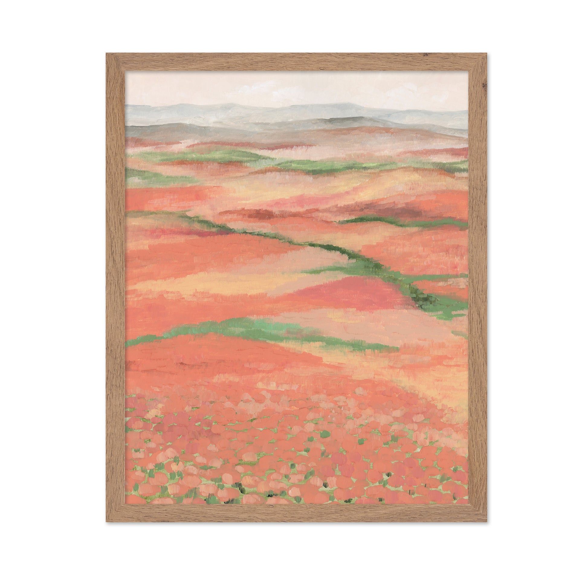 Coral Landscape