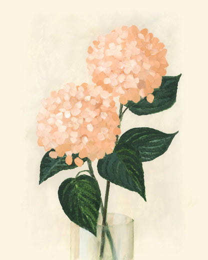 Coral Hydrangeas