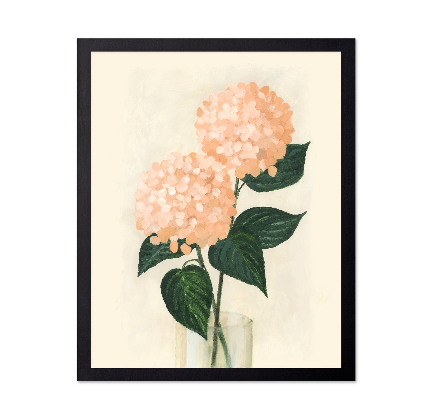 Coral Hydrangeas