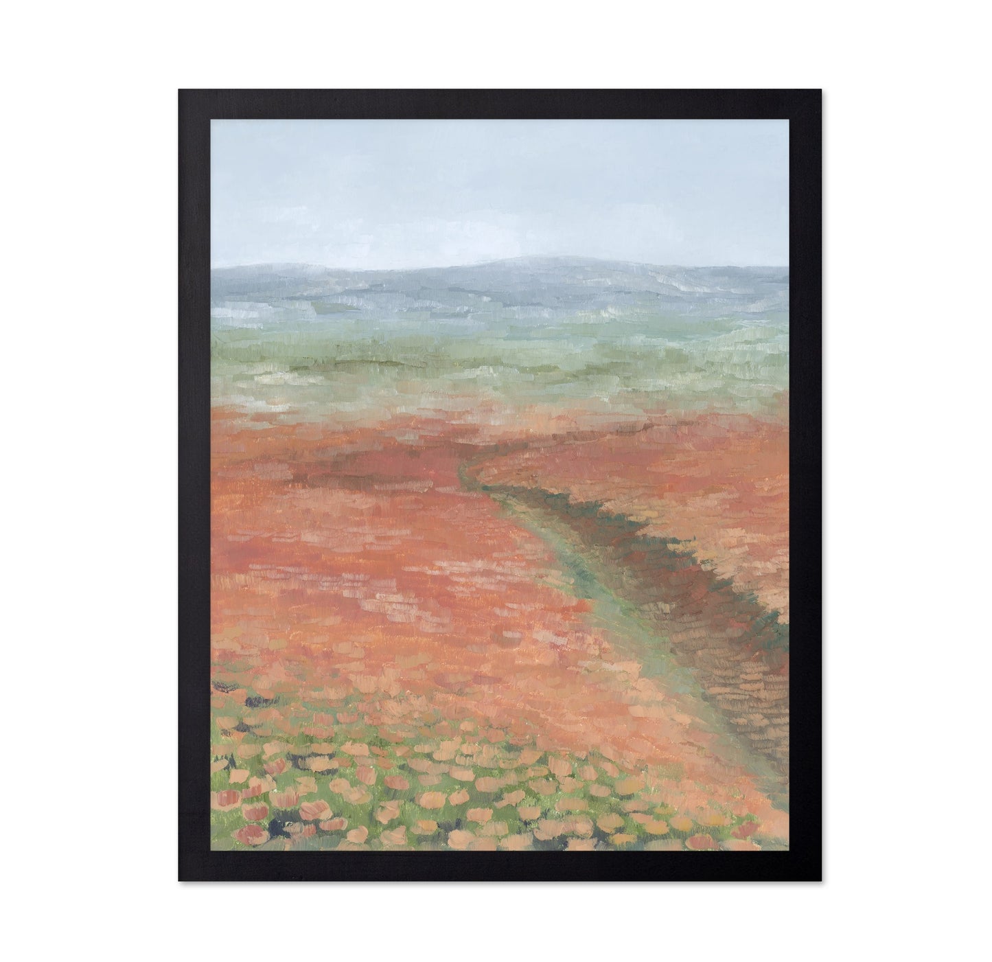 Coral Field Landscape