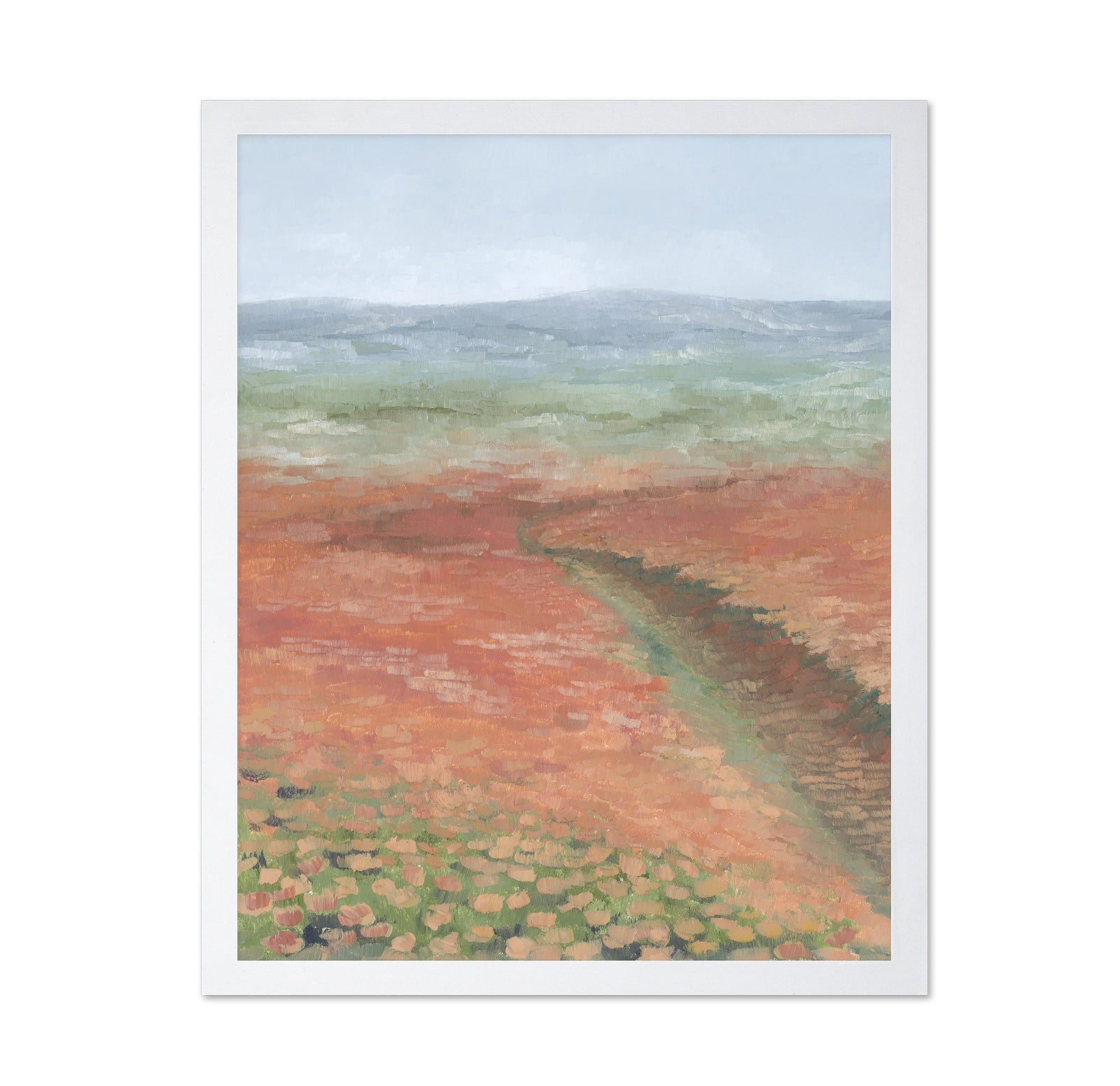 Coral Field Landscape