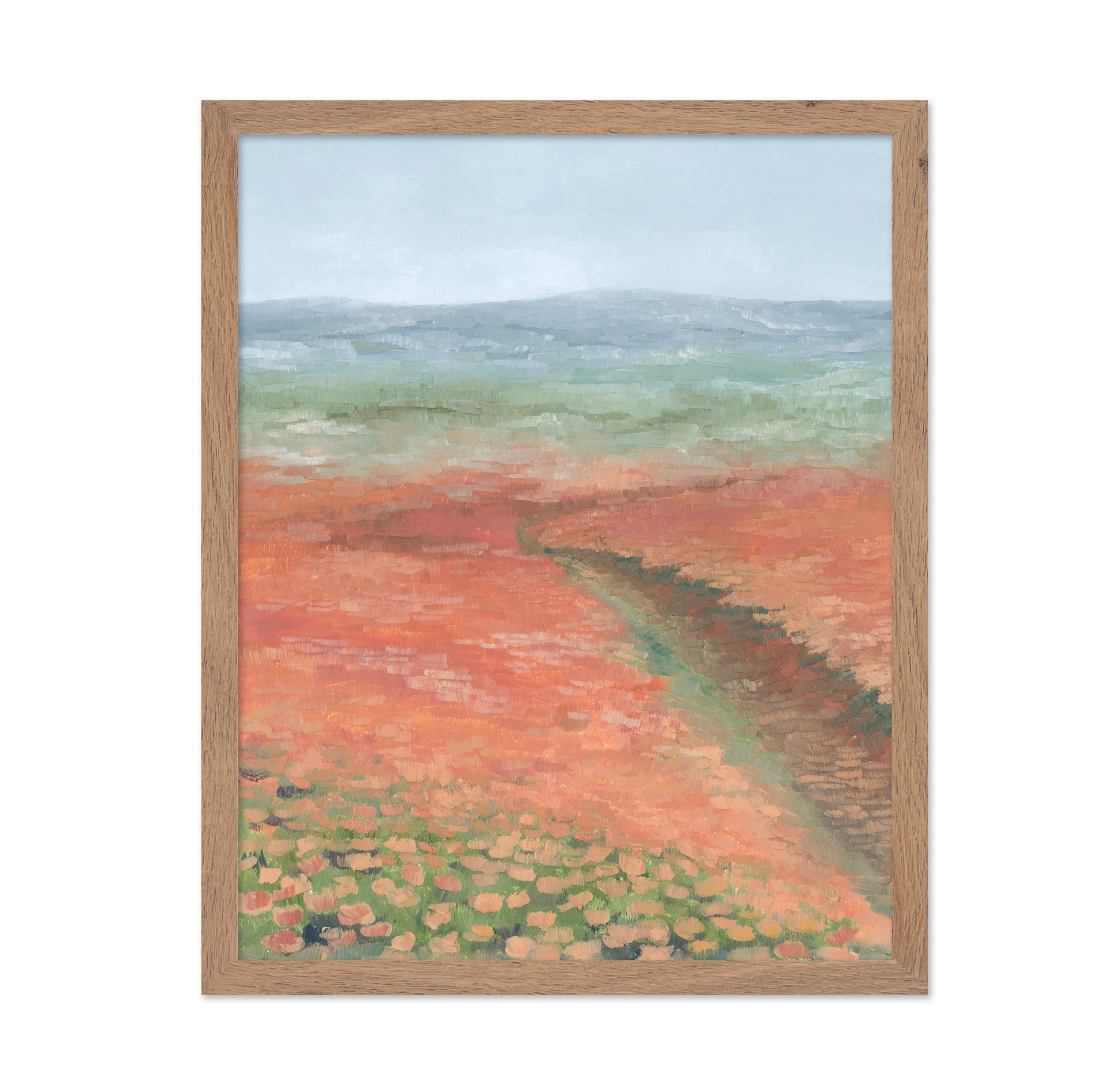 Coral Field Landscape