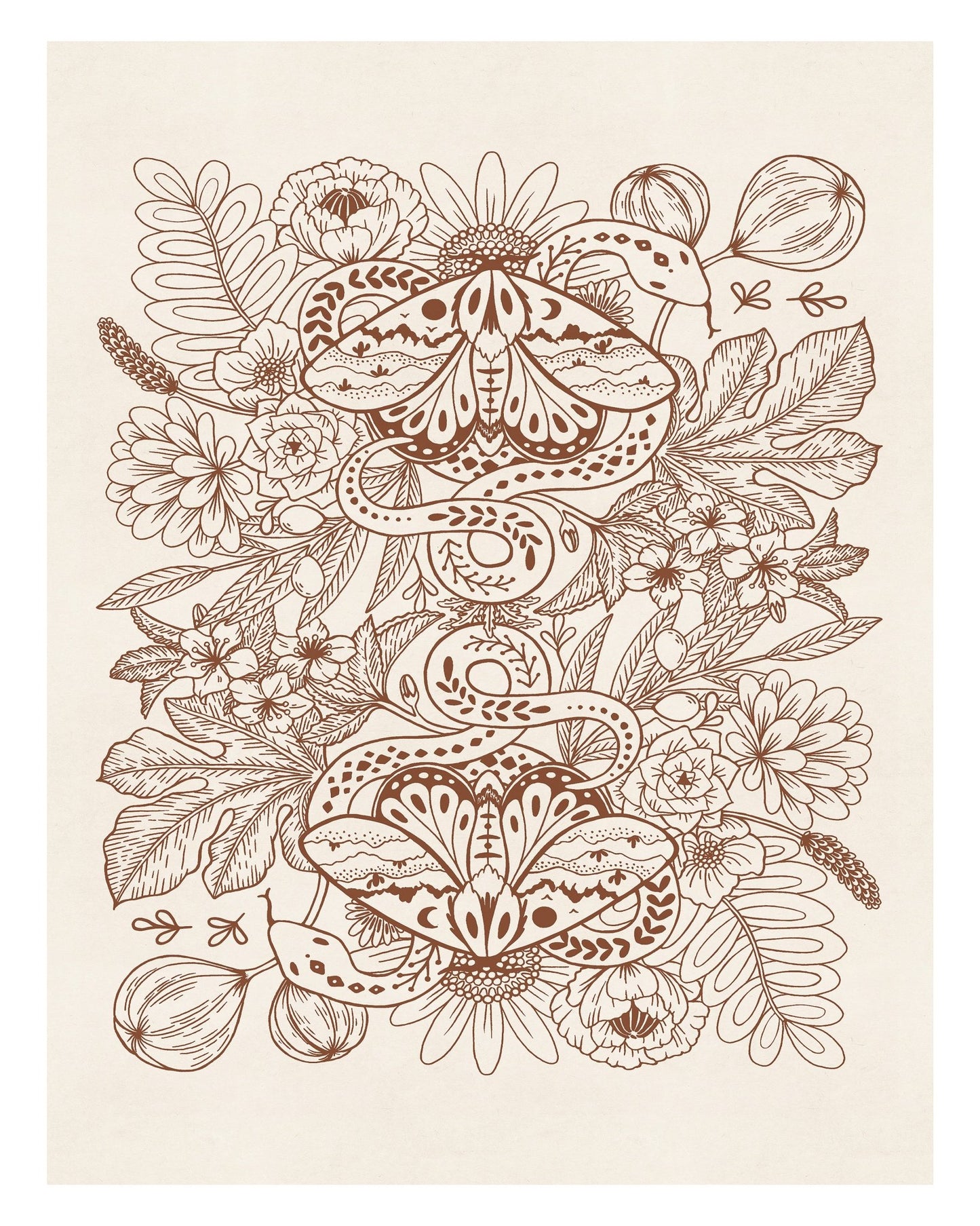 Moths & Snakes Line Art