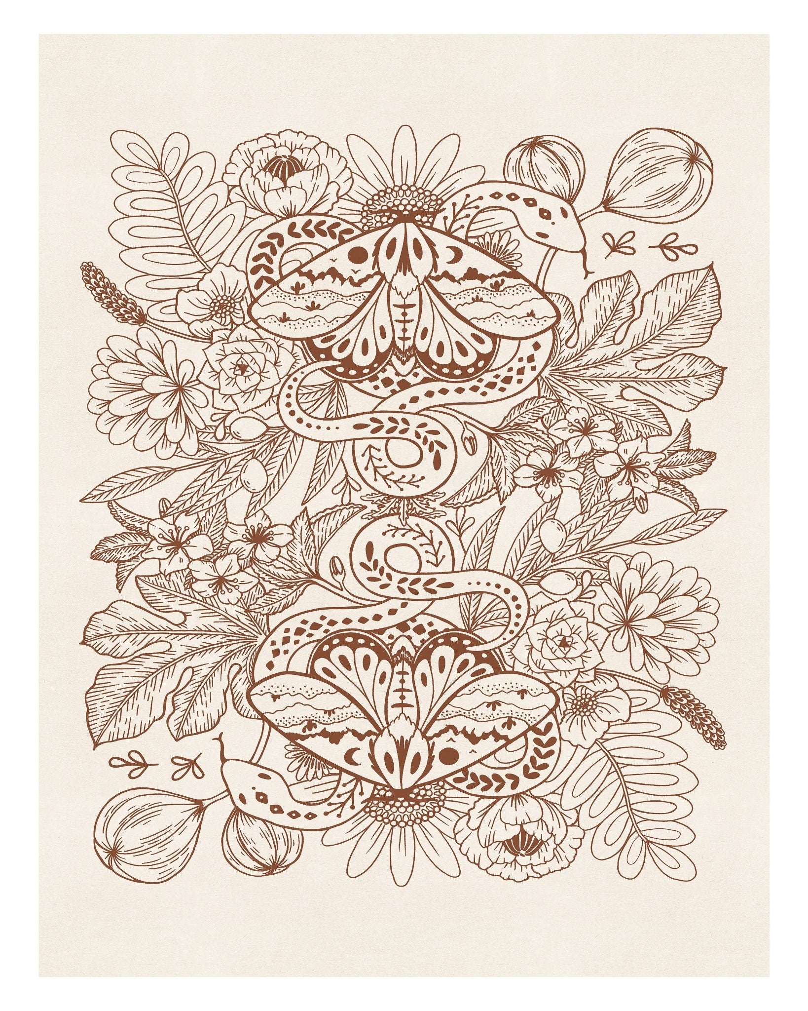 Moths & Snakes Line Art