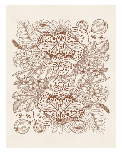 Moths & Snakes Line Art