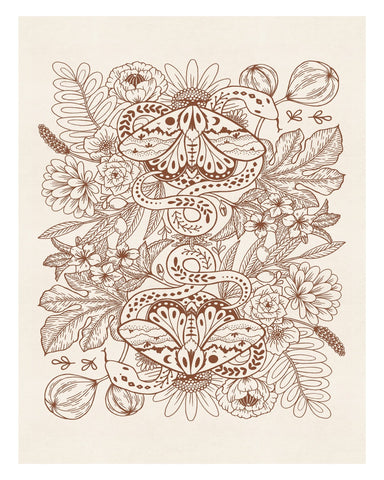 Moths & Snakes Line Art