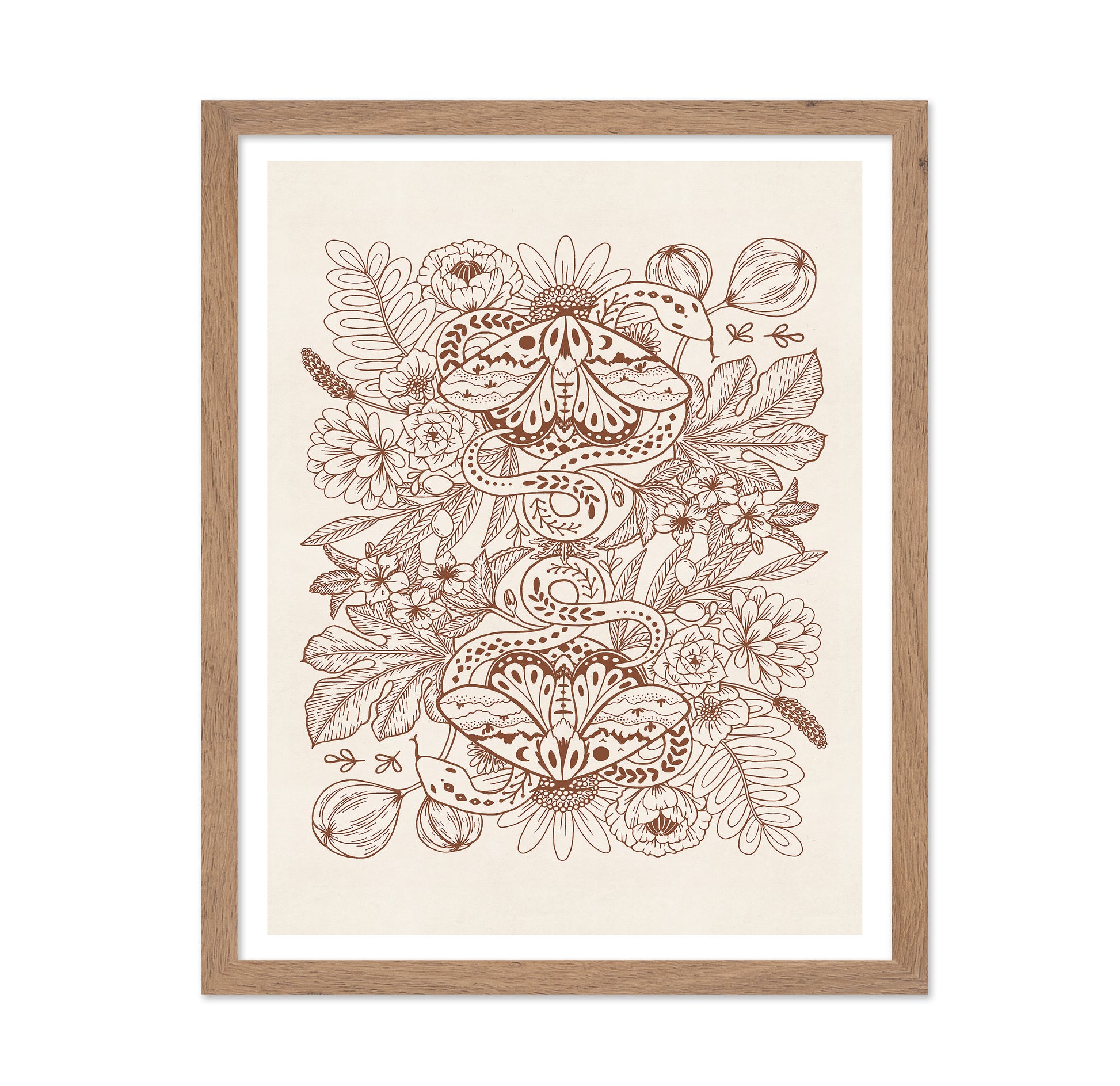 Moths & Snakes Line Art