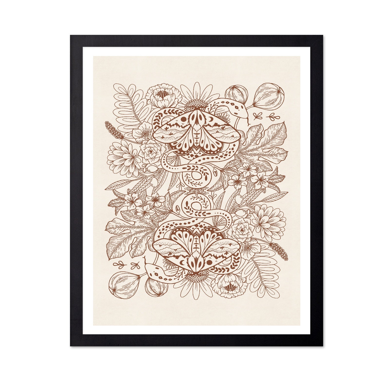 Moths & Snakes Line Art