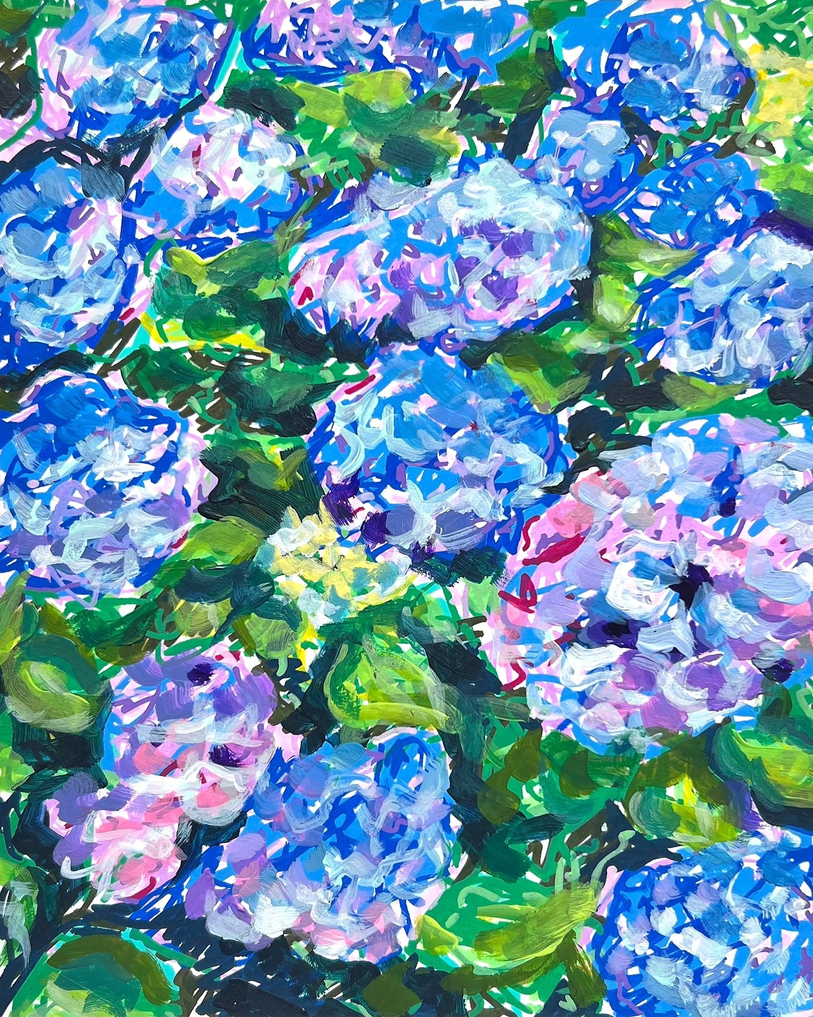 Blue Hydrangeas
