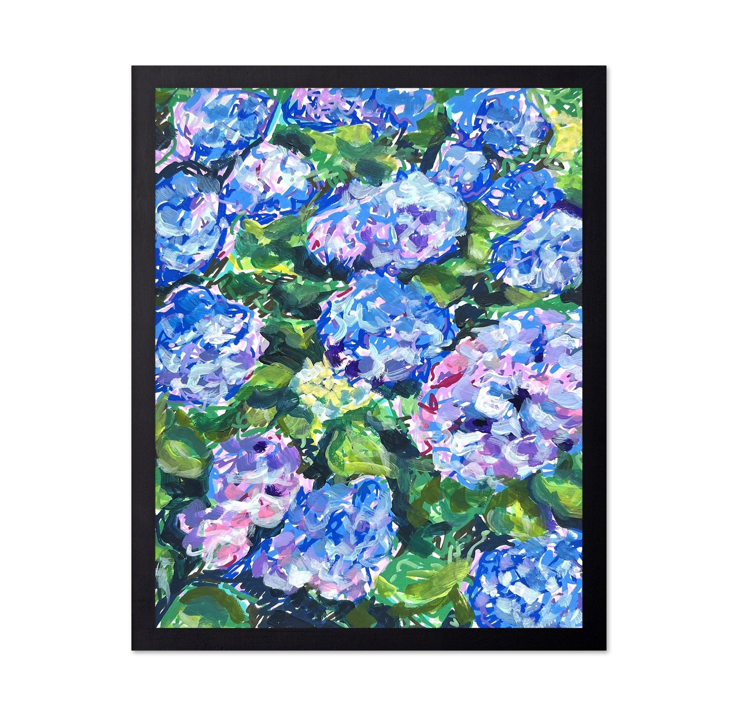 Blue Hydrangeas