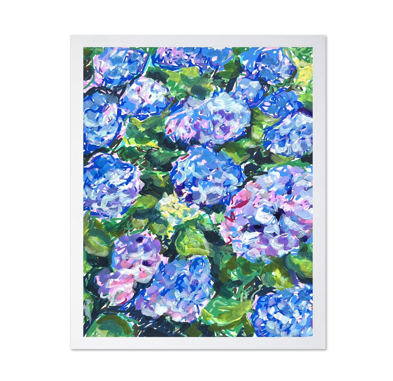 Blue Hydrangeas
