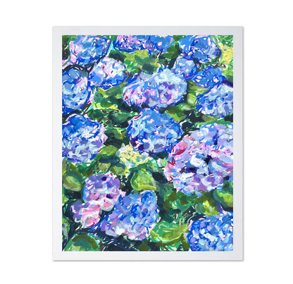 Blue Hydrangeas