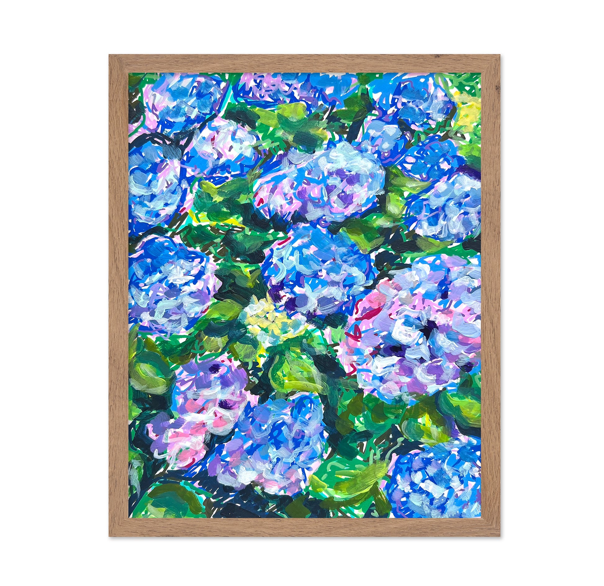 Blue Hydrangeas