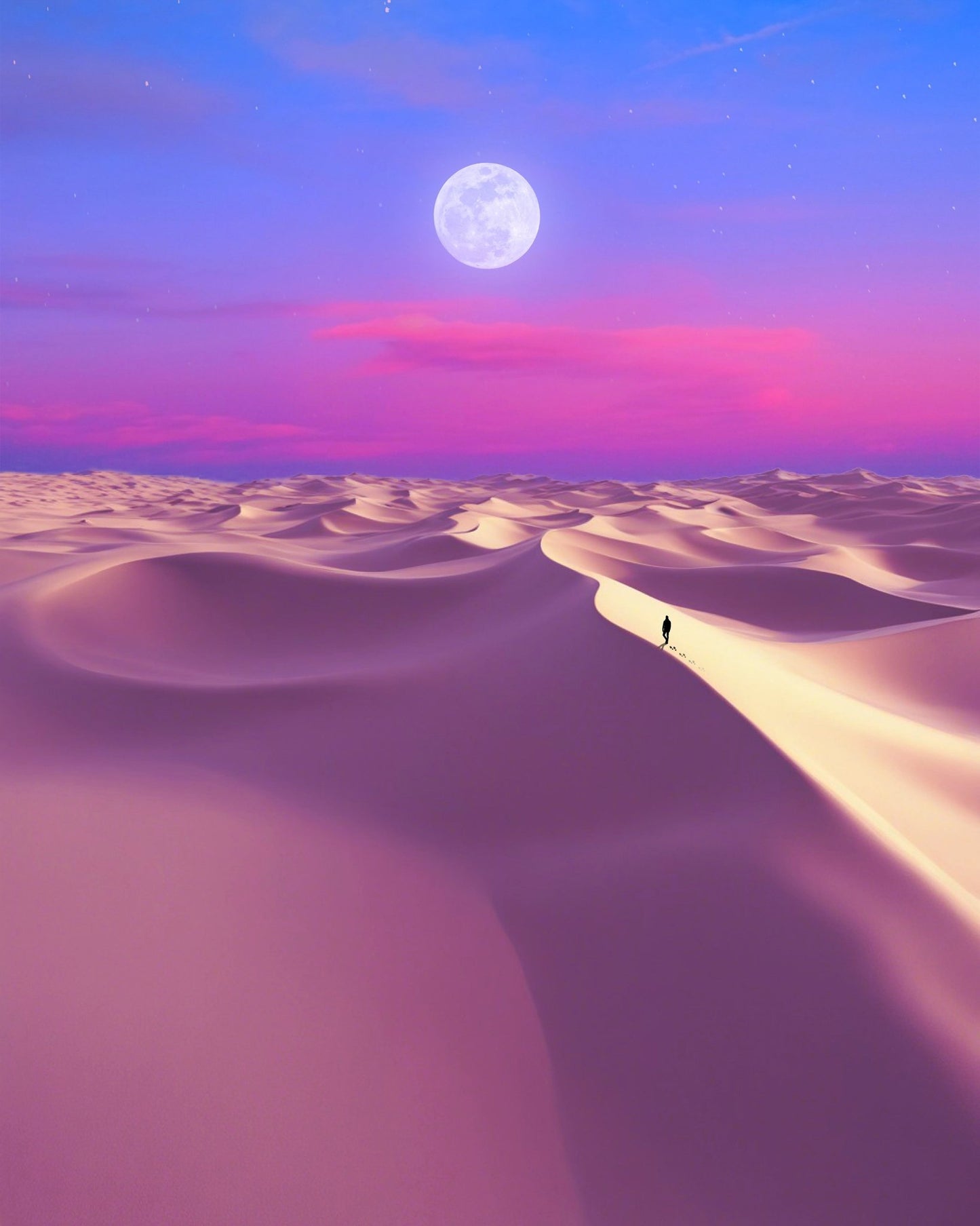 Moonlit Desert Path