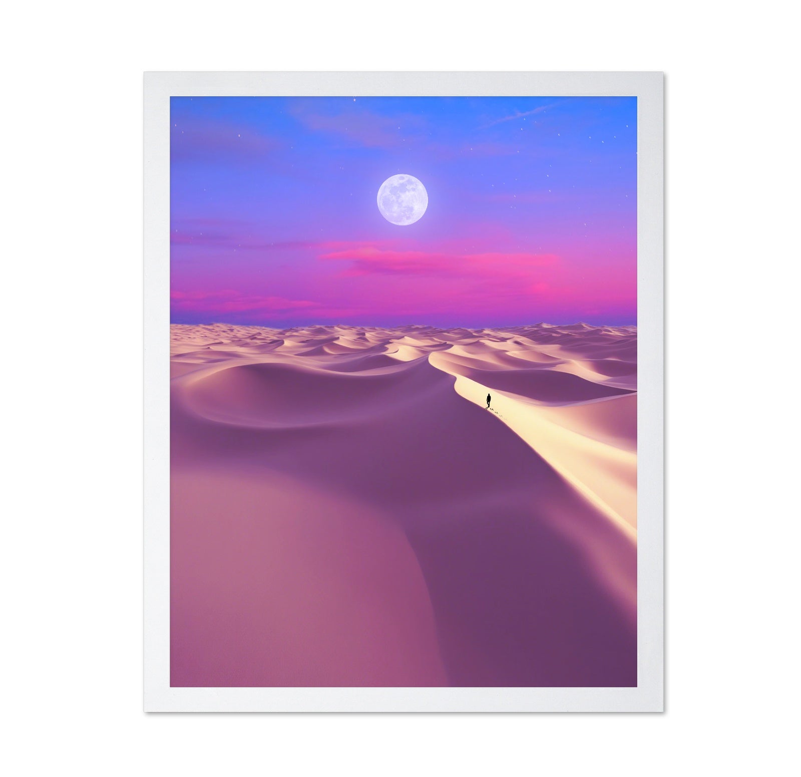 Moonlit Desert Path