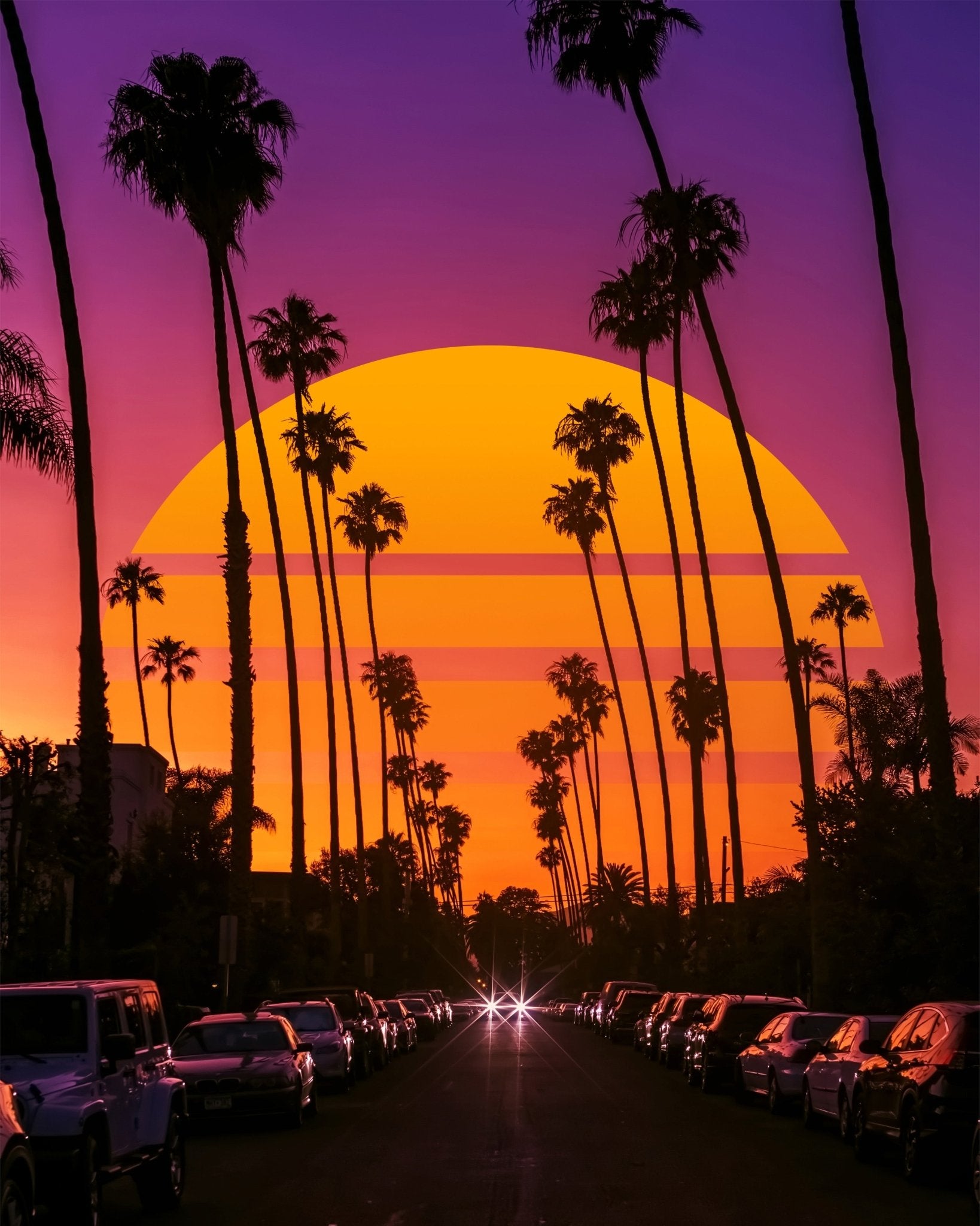 Palm Sunset Boulevard