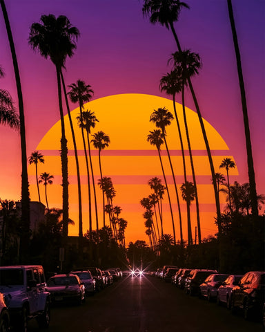Palm Sunset Boulevard