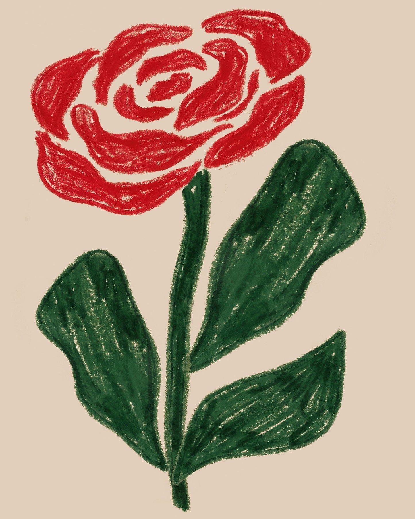 Red Rose Sketch