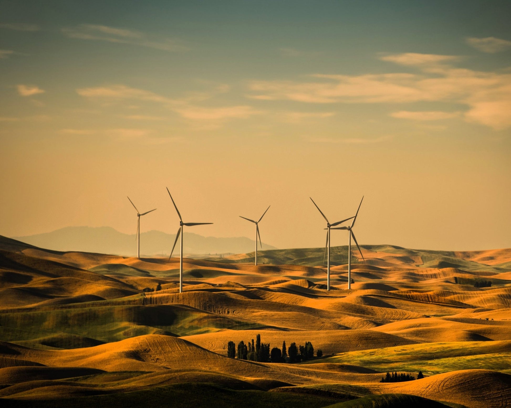 Wind Turbine Landscape