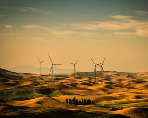 Wind Turbine Landscape