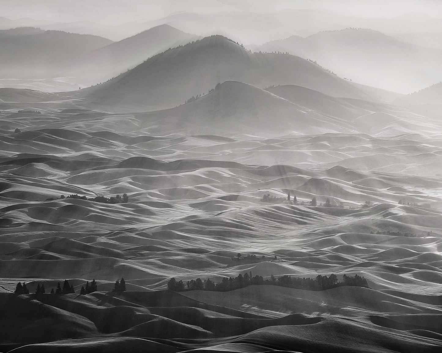 Palouse Hills