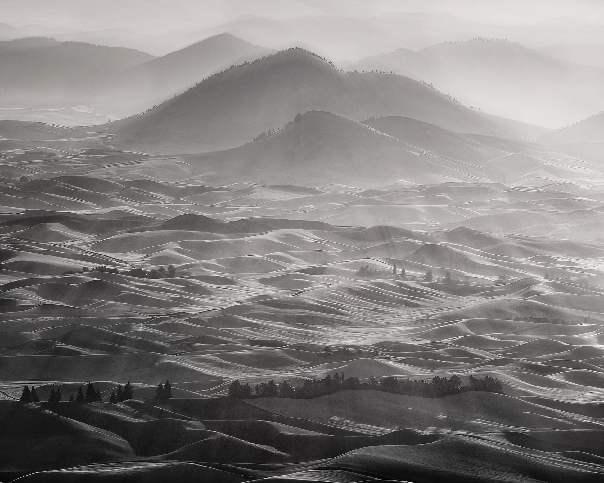 Palouse Hills