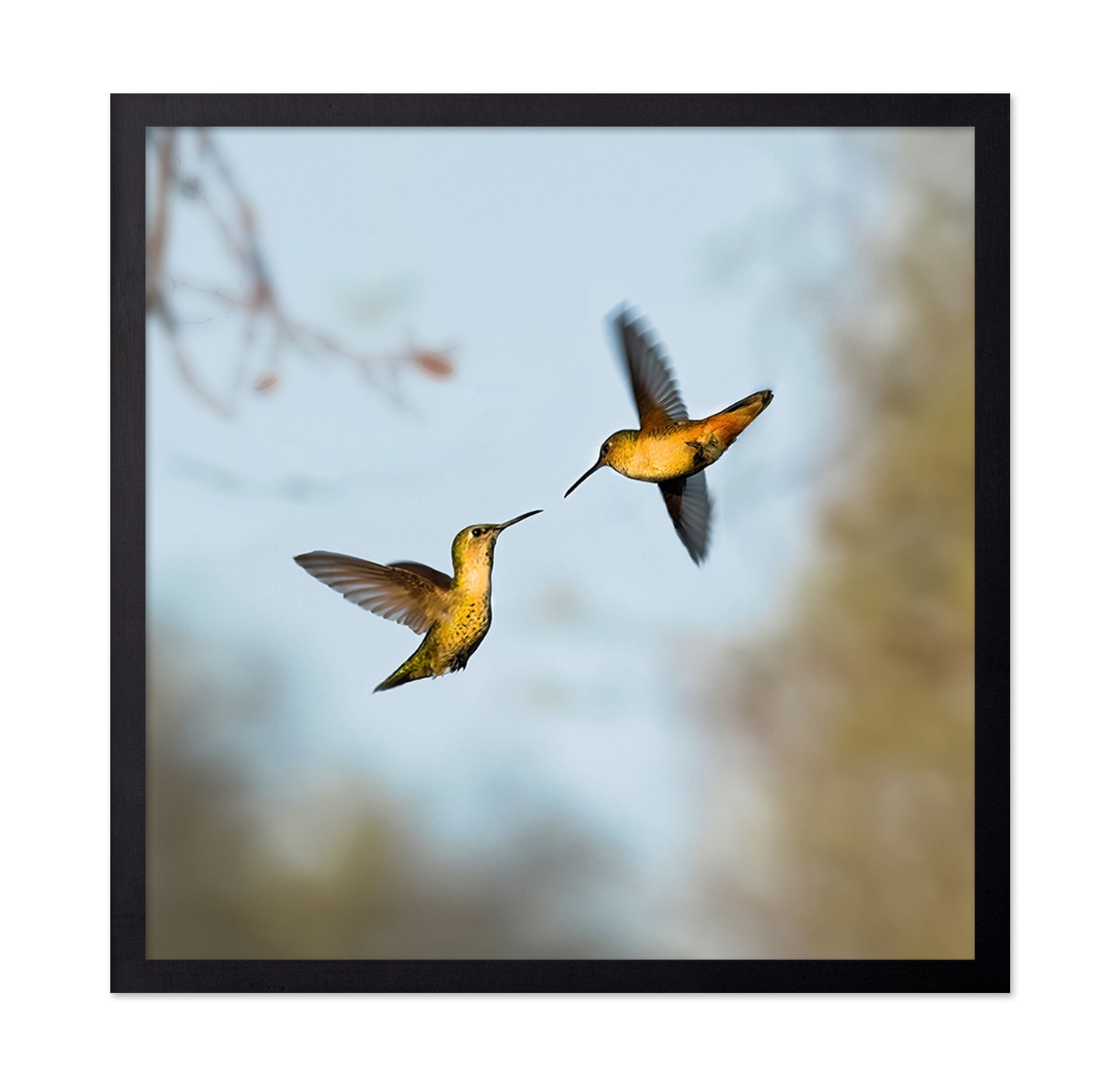 Flying Hummingbirds