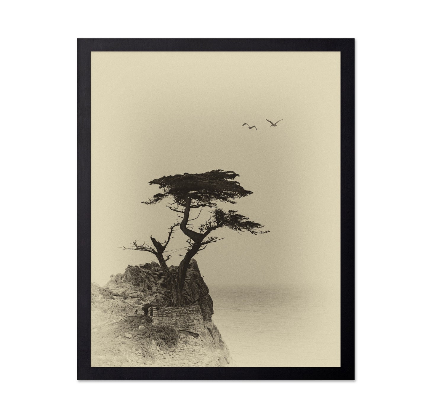 Coastal Lone Tree
