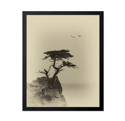 Coastal Lone Tree