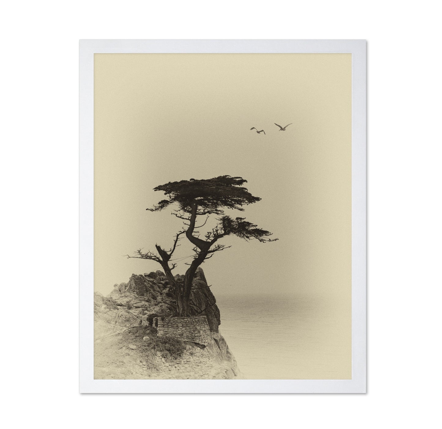 Coastal Lone Tree