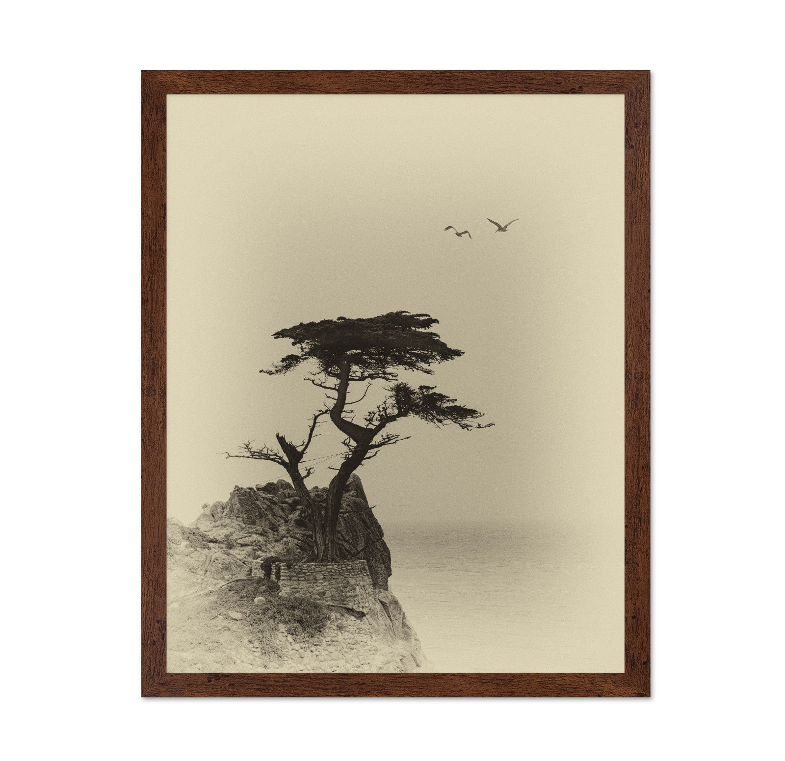 Coastal Lone Tree