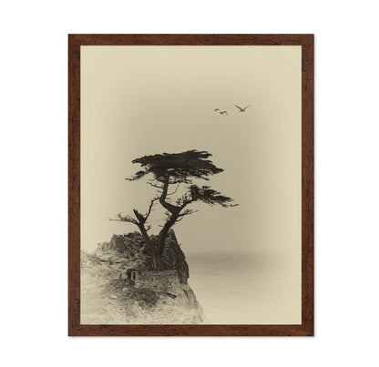 Coastal Lone Tree