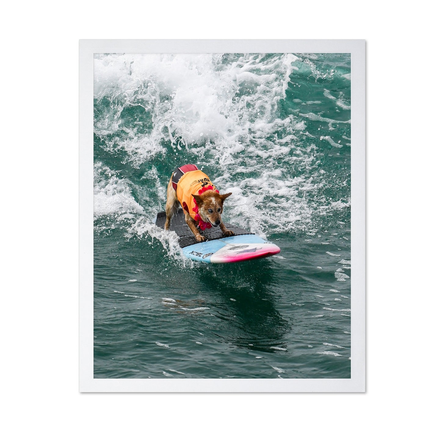 Surfing Dog