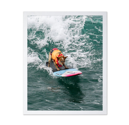 Surfing Dog