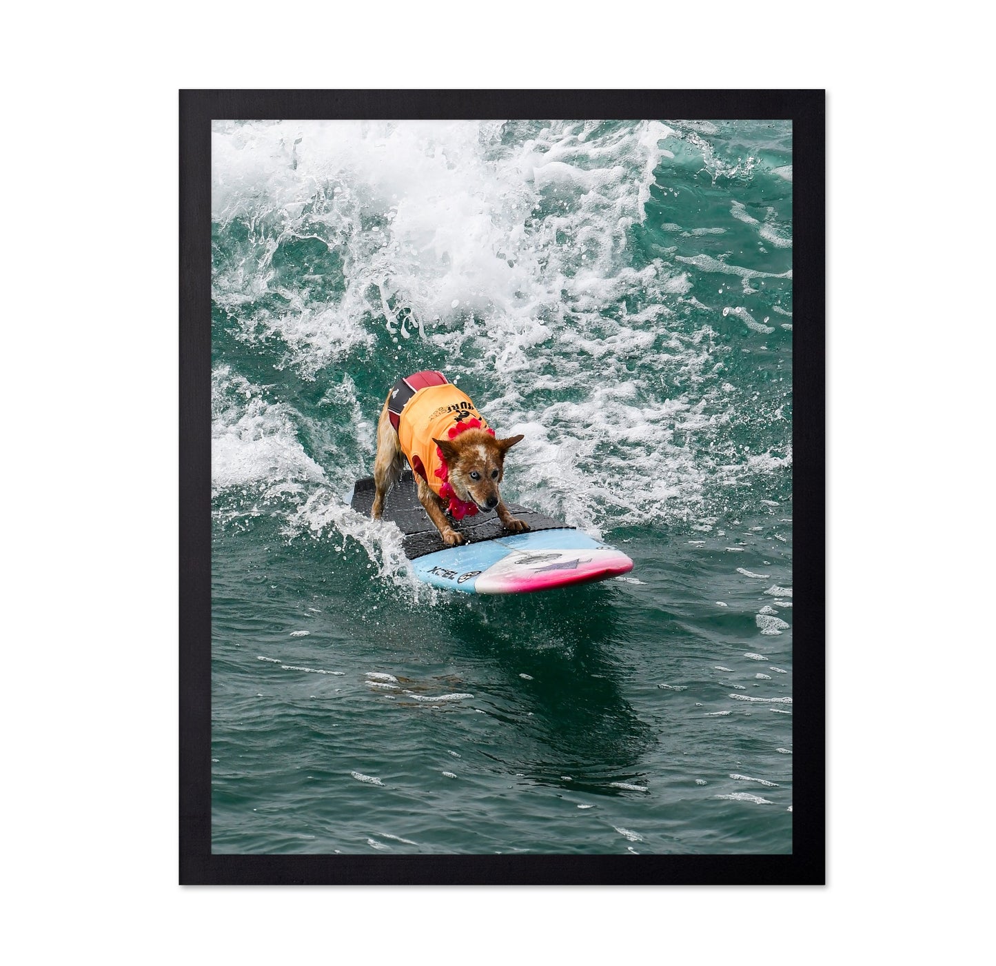 Surfing Dog