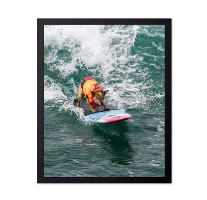 Surfing Dog