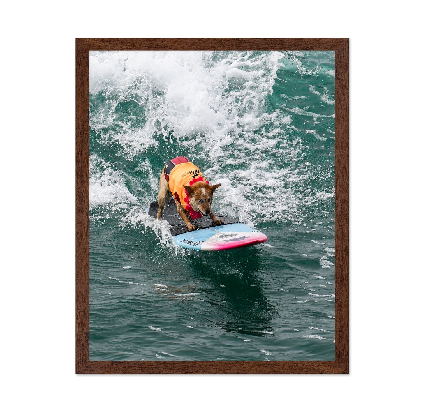 Surfing Dog