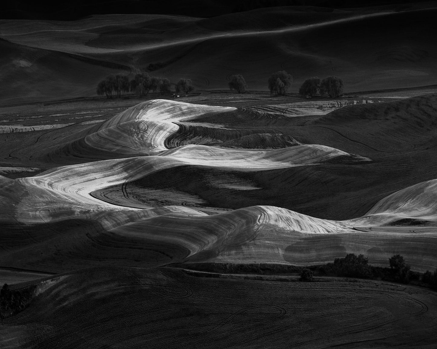 Palouse Light Waves