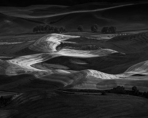 Palouse Light Waves