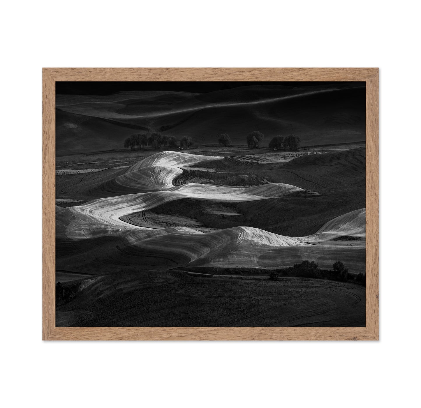 Palouse Light Waves
