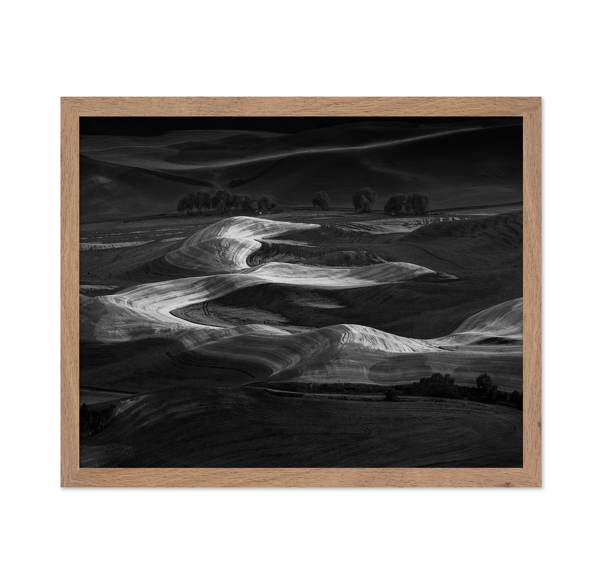 Palouse Light Waves