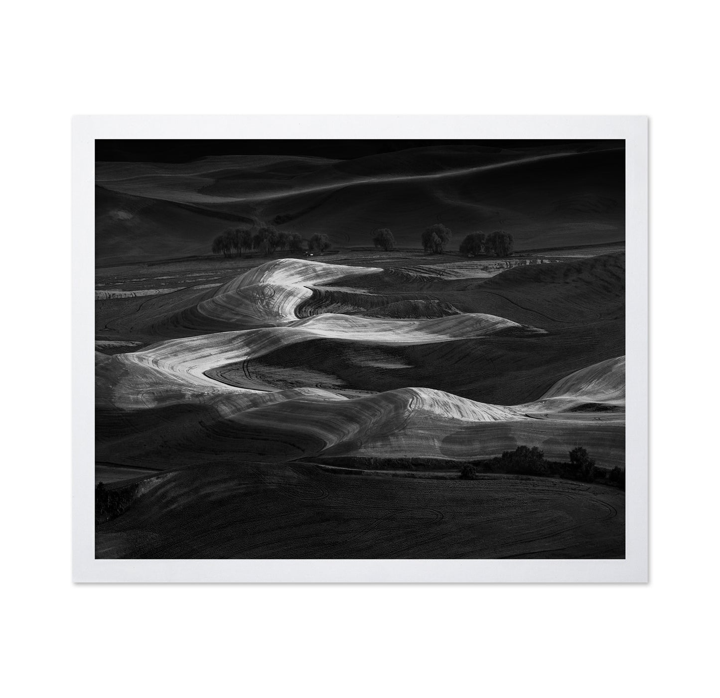 Palouse Light Waves