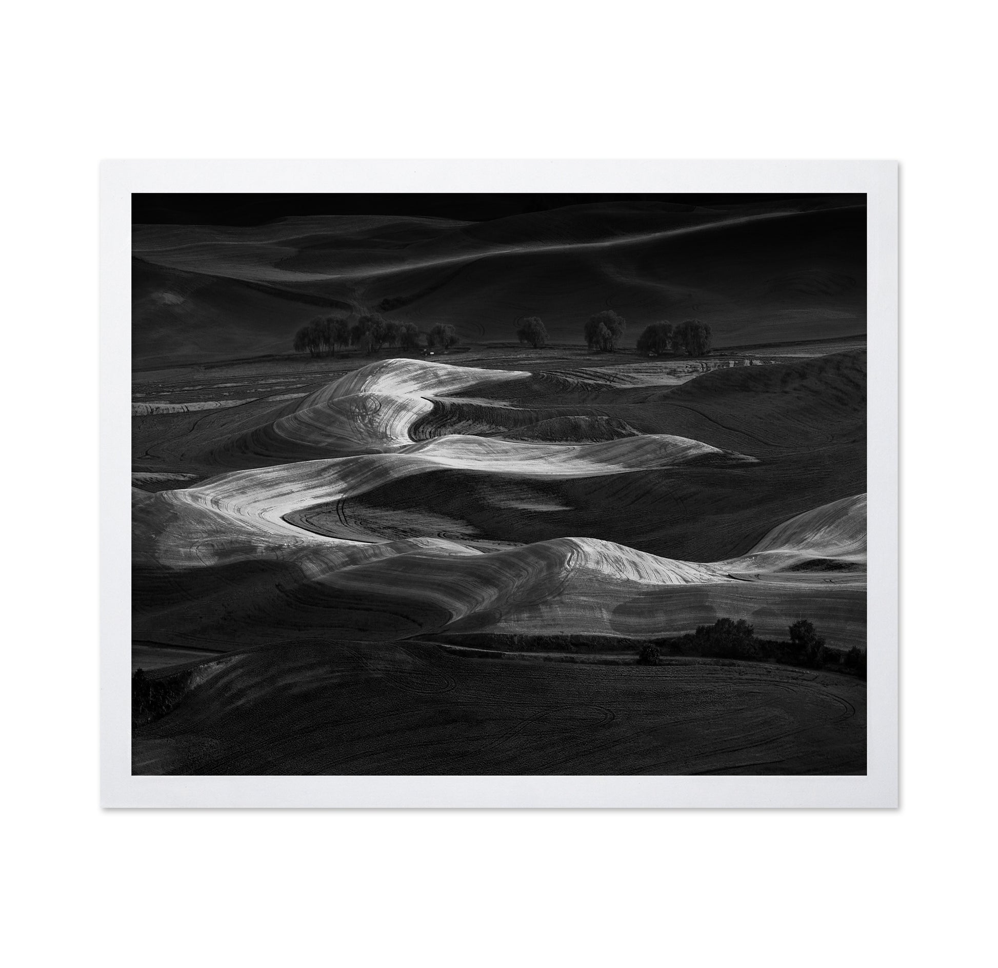 Palouse Light Waves