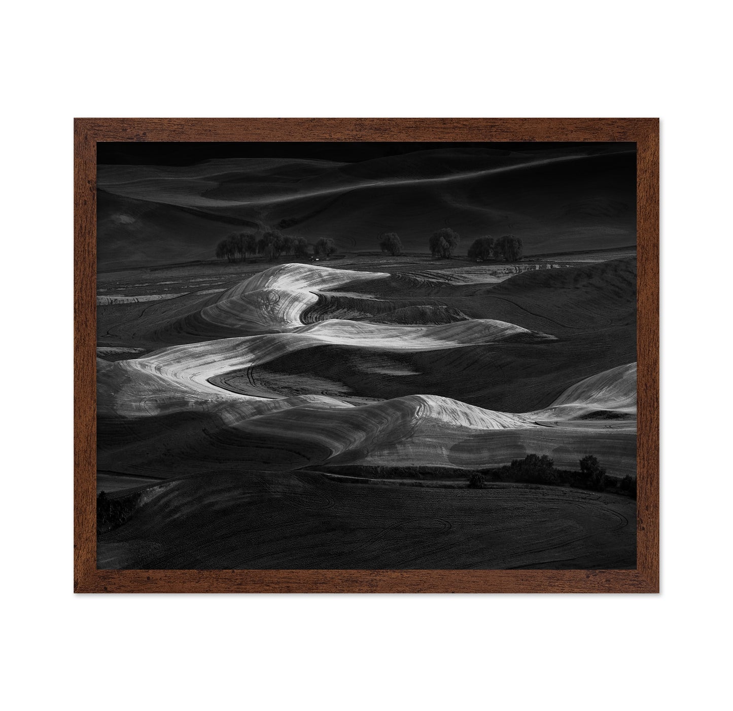 Palouse Light Waves