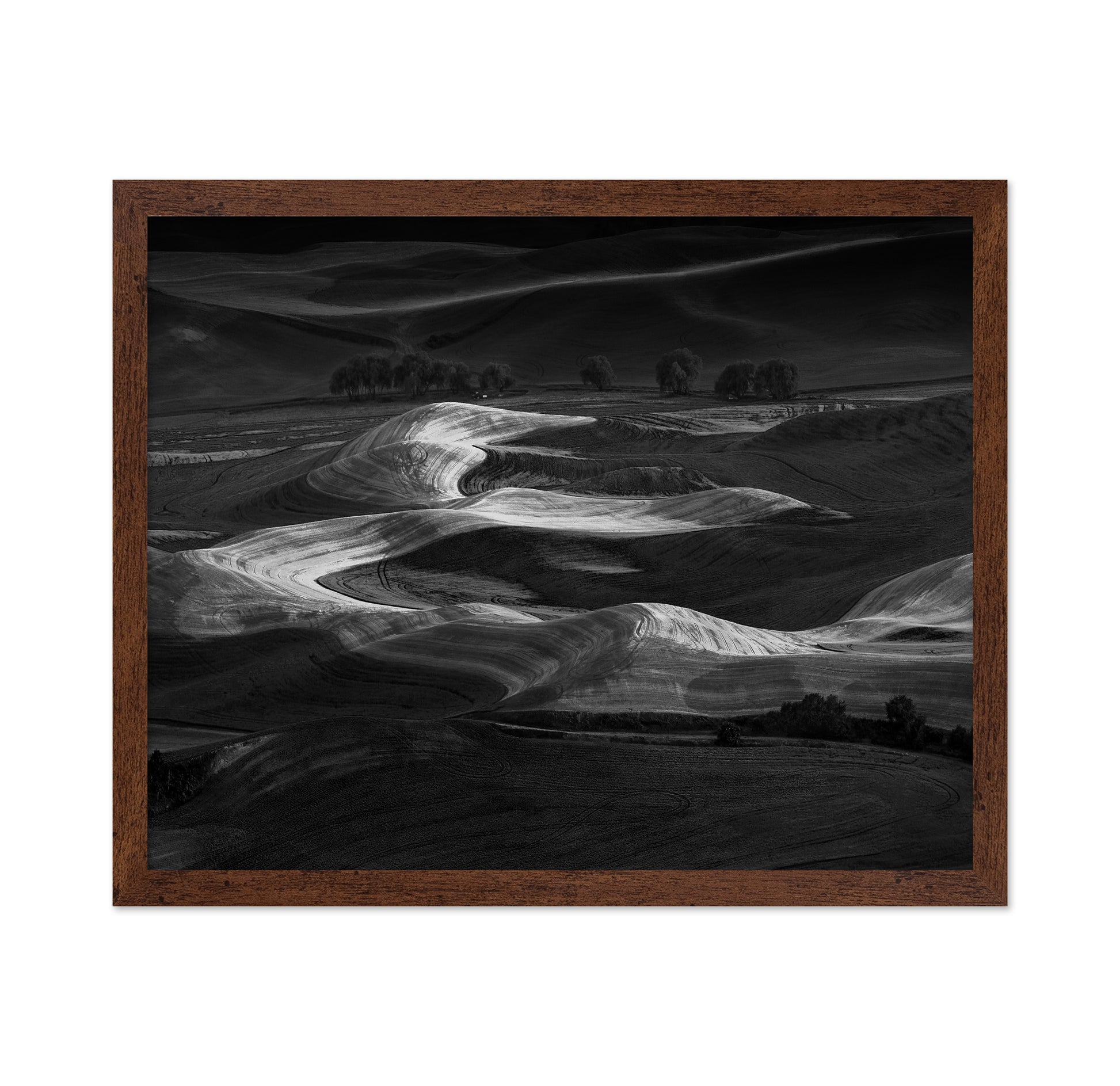 Palouse Light Waves