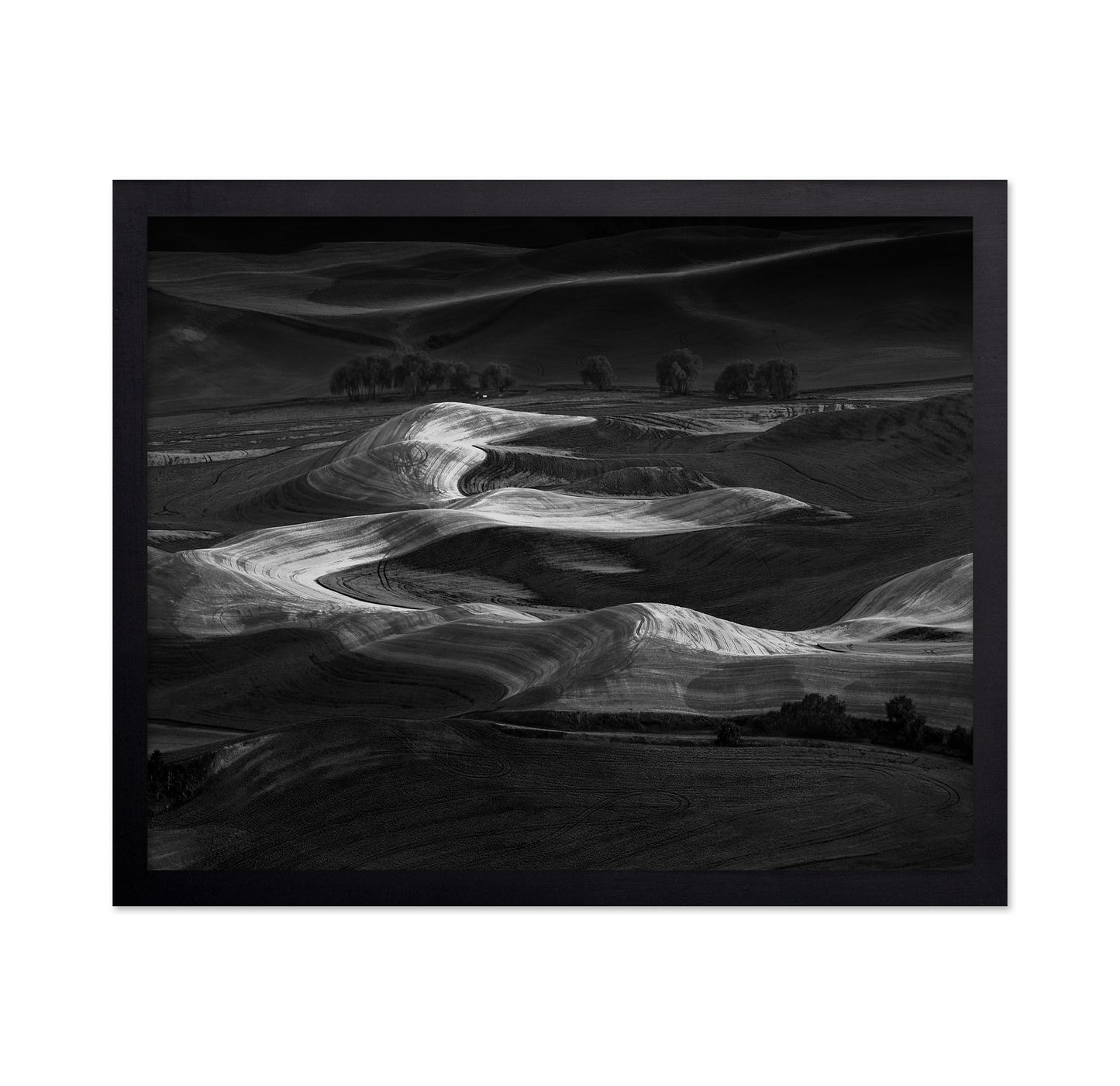 Palouse Light Waves